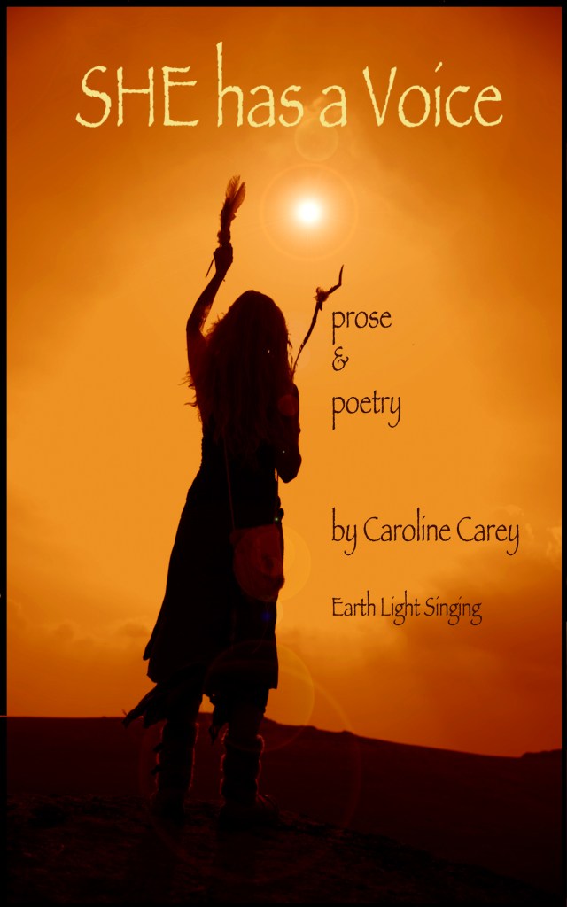 she has a voice, book cover