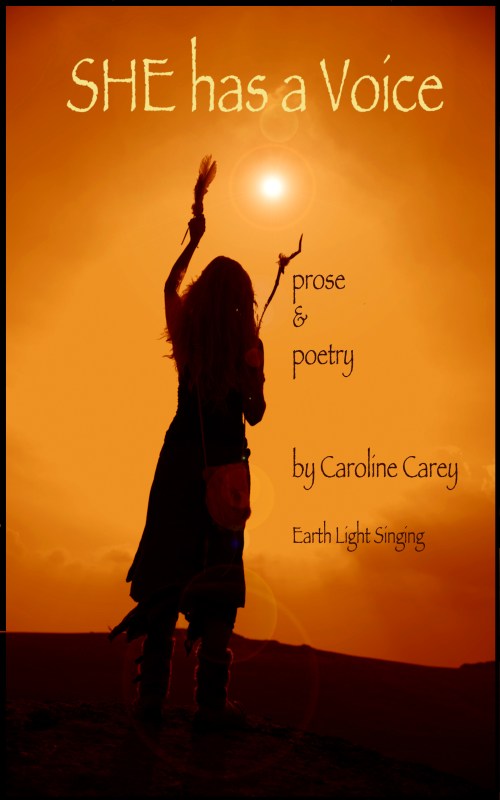 she has a voice, book cover