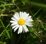 IMG_4340