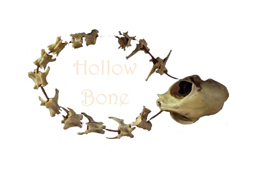 bones