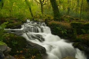 10462719_10152364332351583_3768197408781249563_n-300x200