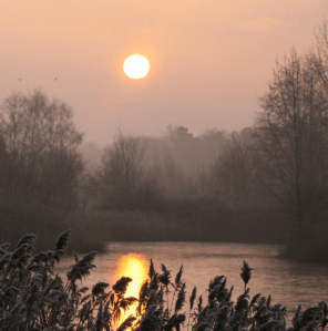 Screen shot 2015-01-30 at 10.52.18