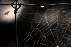 tumblr_ngtl3fpBGA1sih1r9o1_500