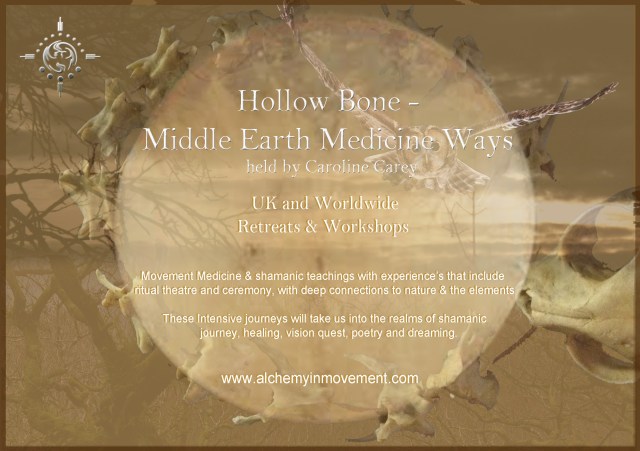 hollow bone front only 2015 copy flattend hero