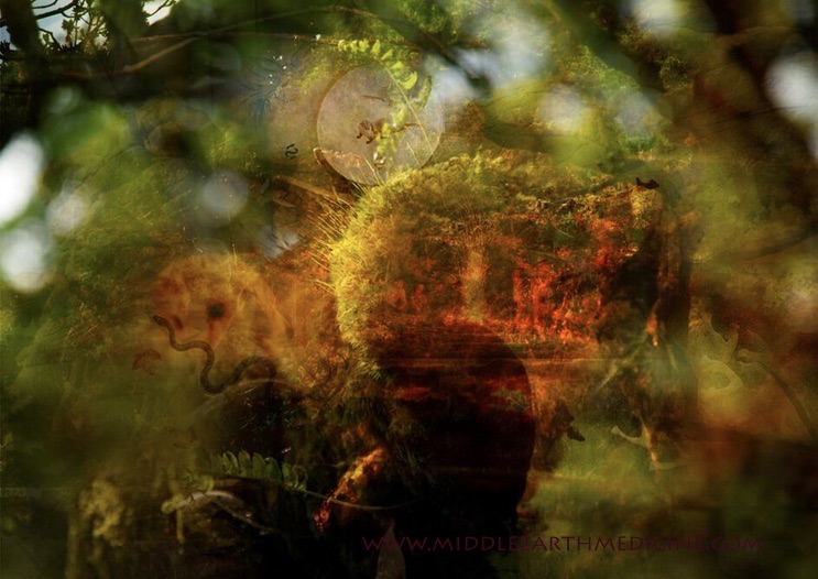 middle-earth-image-owl